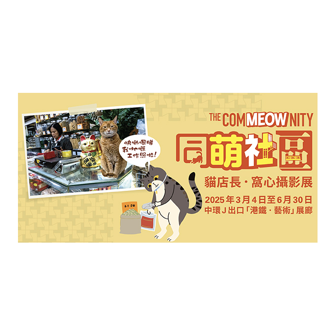 Commeow_TC_MTR_Web