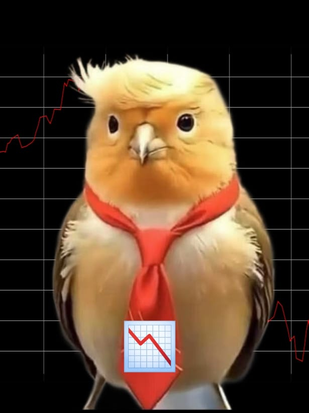 本页图片/档案 - TARIFF STOCK MARKET