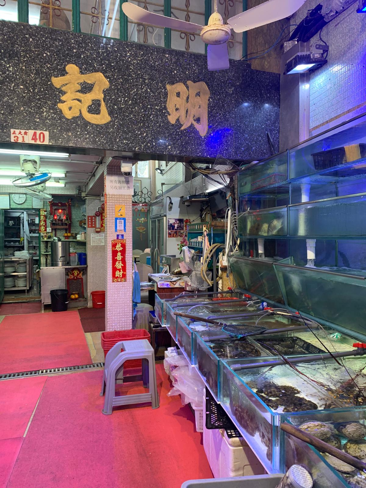 本页图片/档案 - 流浮山 明记