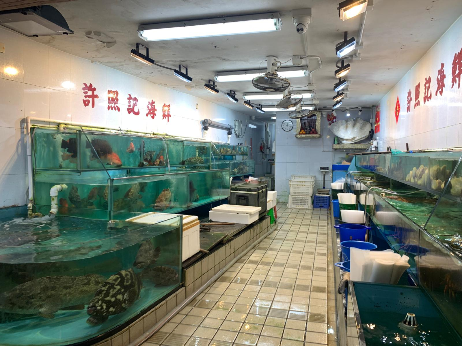 本页图片/档案 - 流浮山 许照记