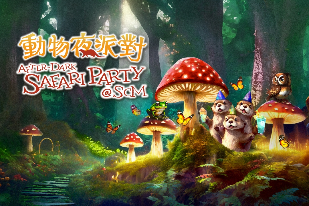 本页图片/档案 - Safari_Party_V06_digital_WebThumbnail_1080x720