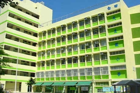 paktin