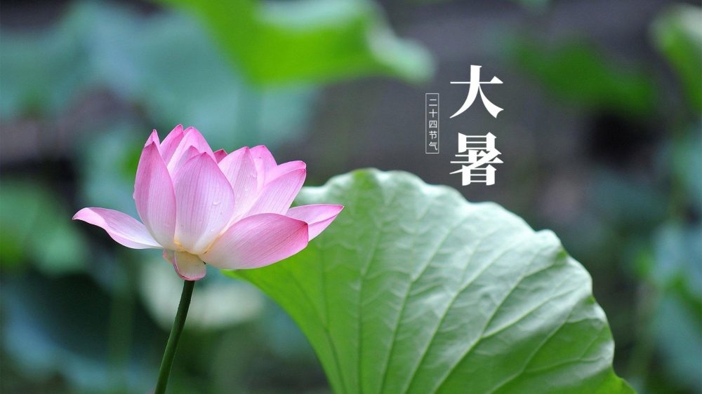 大暑