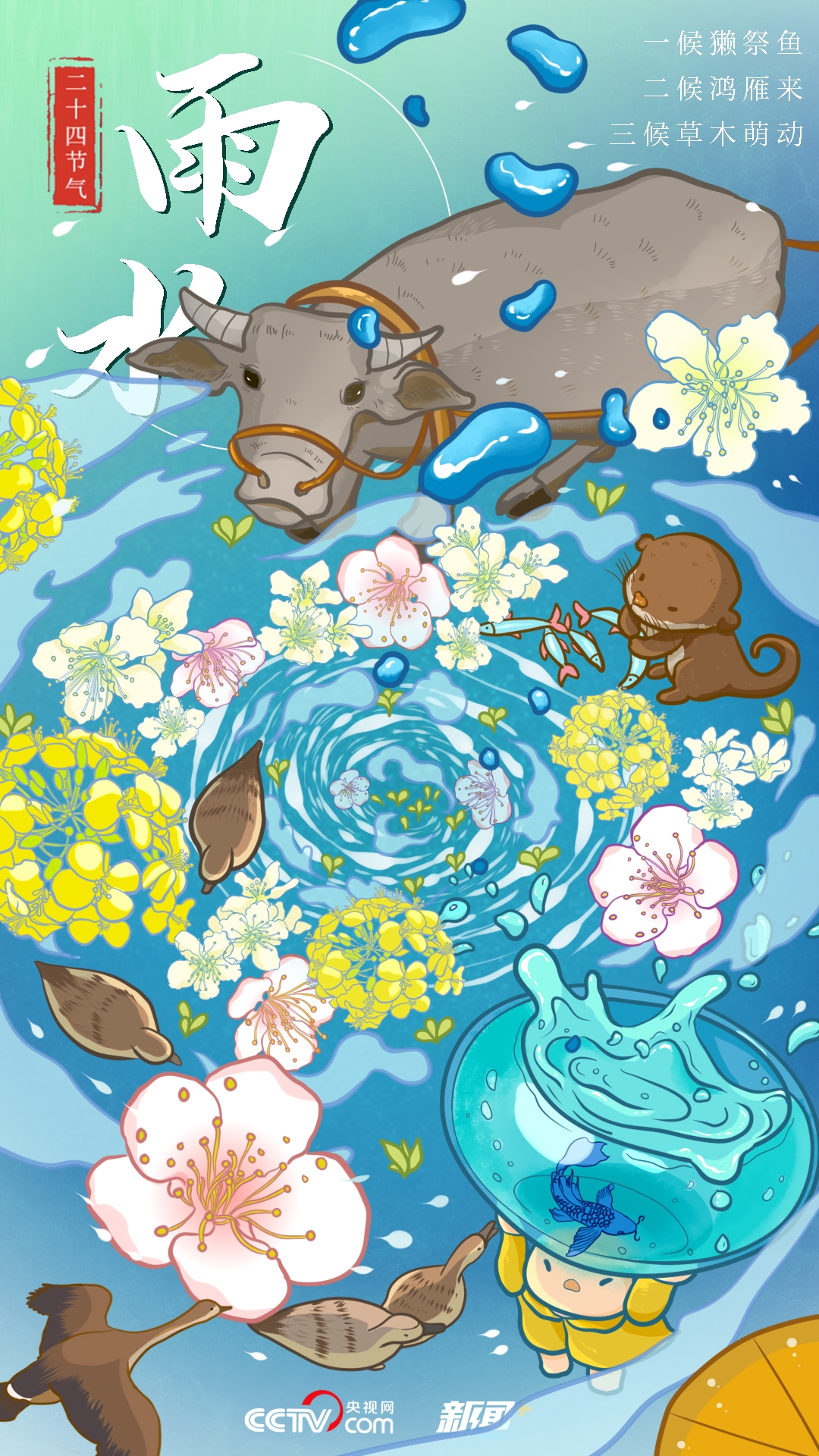 雨水