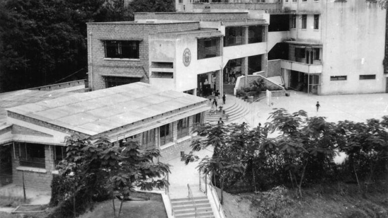 真光1951