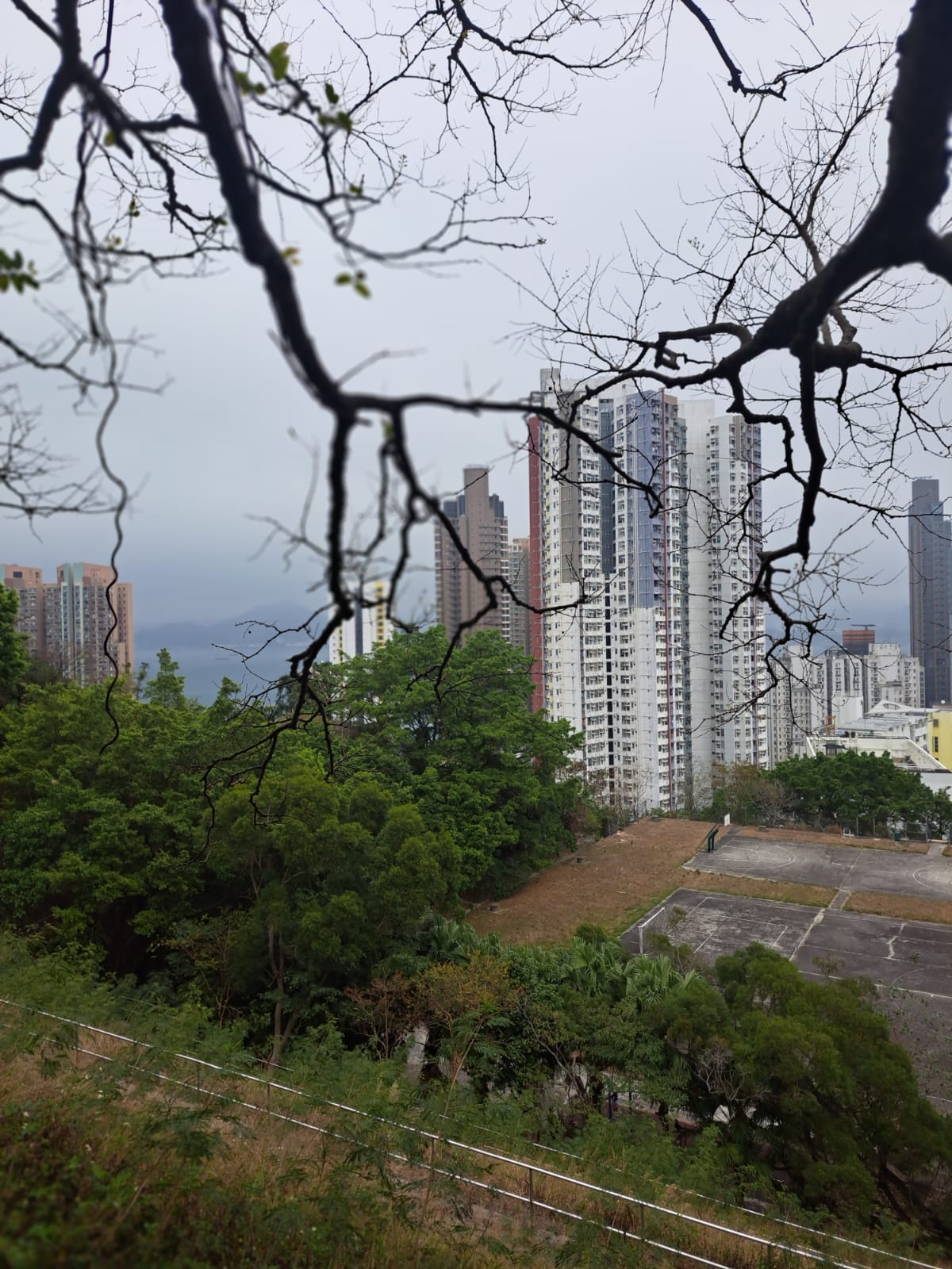 山邊遠望