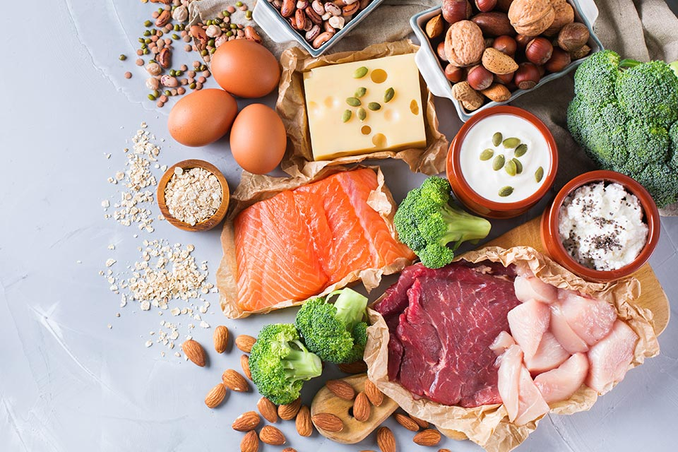 肉食图