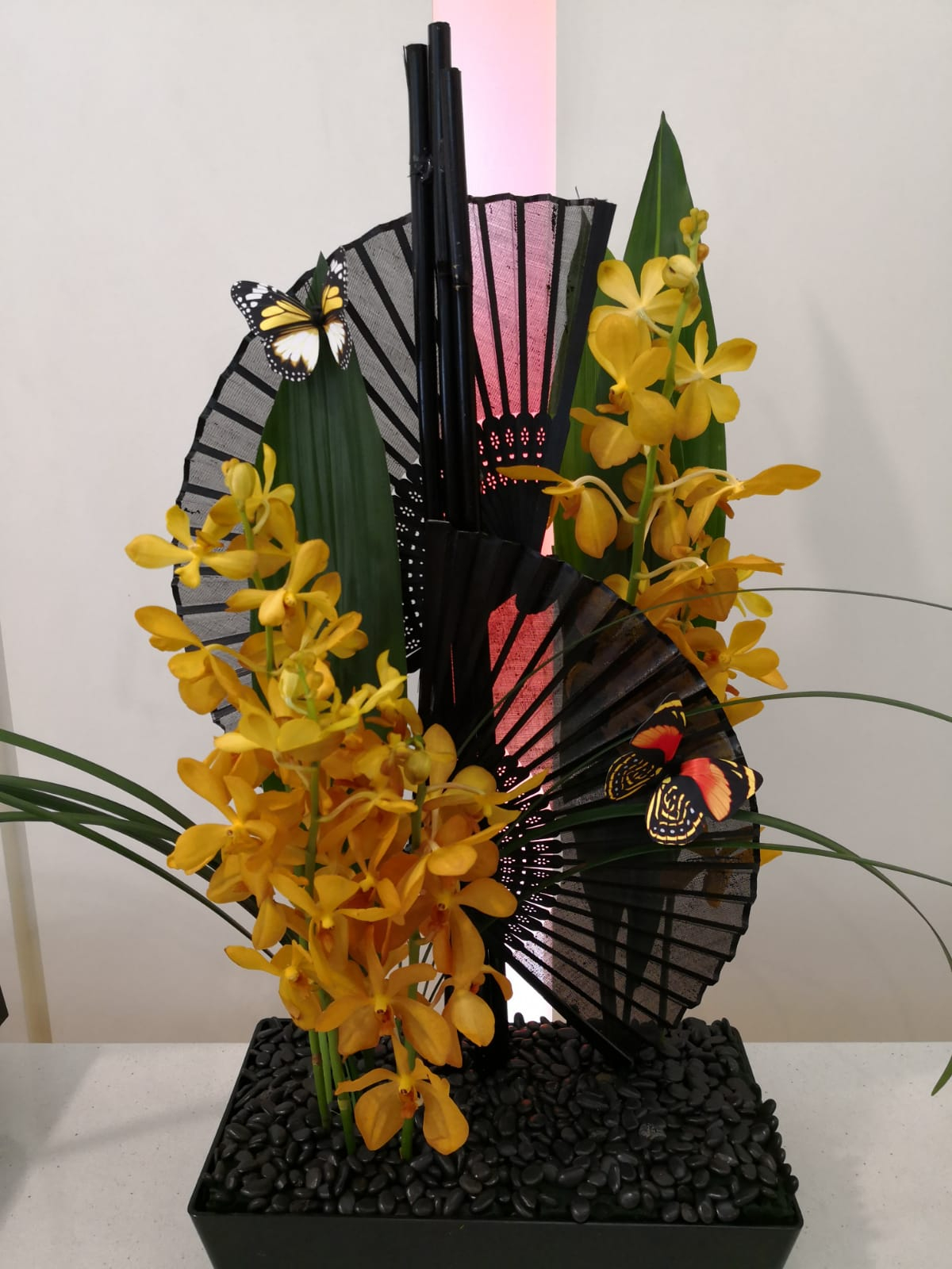 插花維基