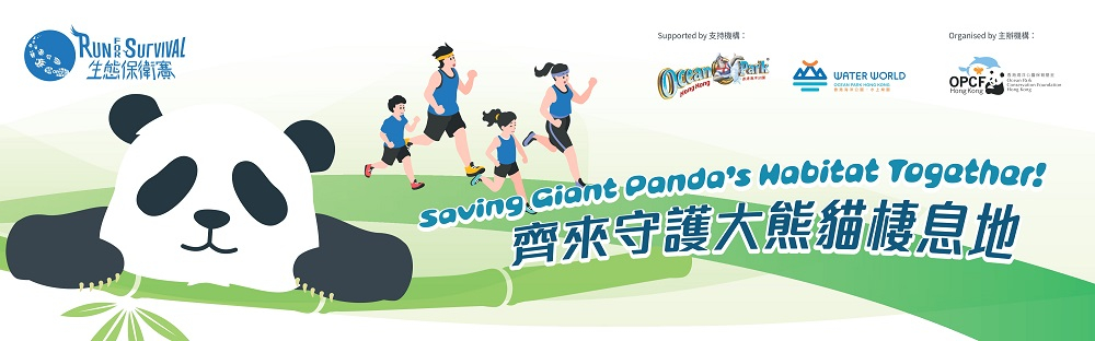齊來保護大熊貓棲息地202411
