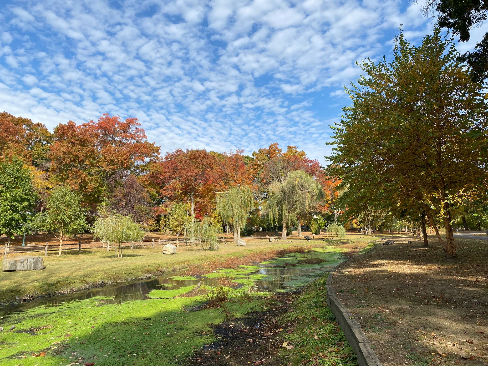 本頁圖片/檔案 - 紅樹遠景