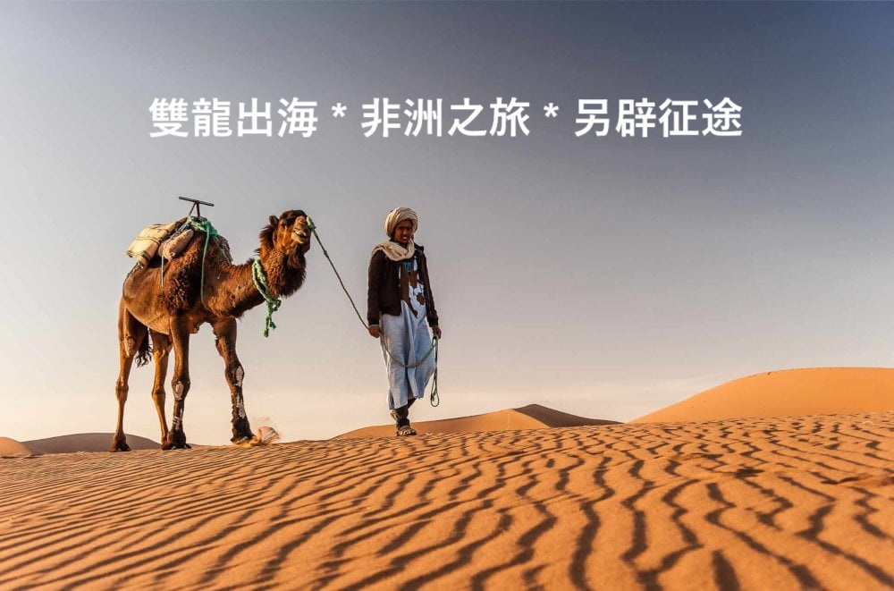 雙龍出海202410